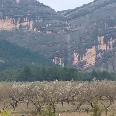 Апартаменти Mas De Manresa Орта-да-Сан-Джоан Екстер'єр фото