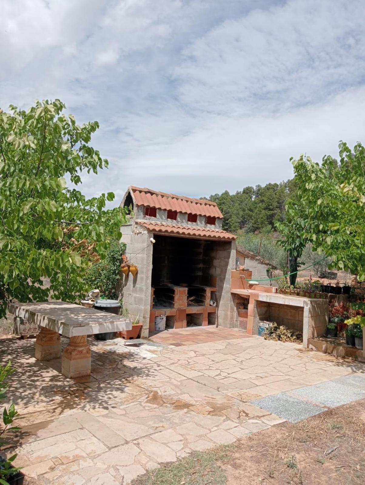 Апартаменти Mas De Manresa Орта-да-Сан-Джоан Екстер'єр фото