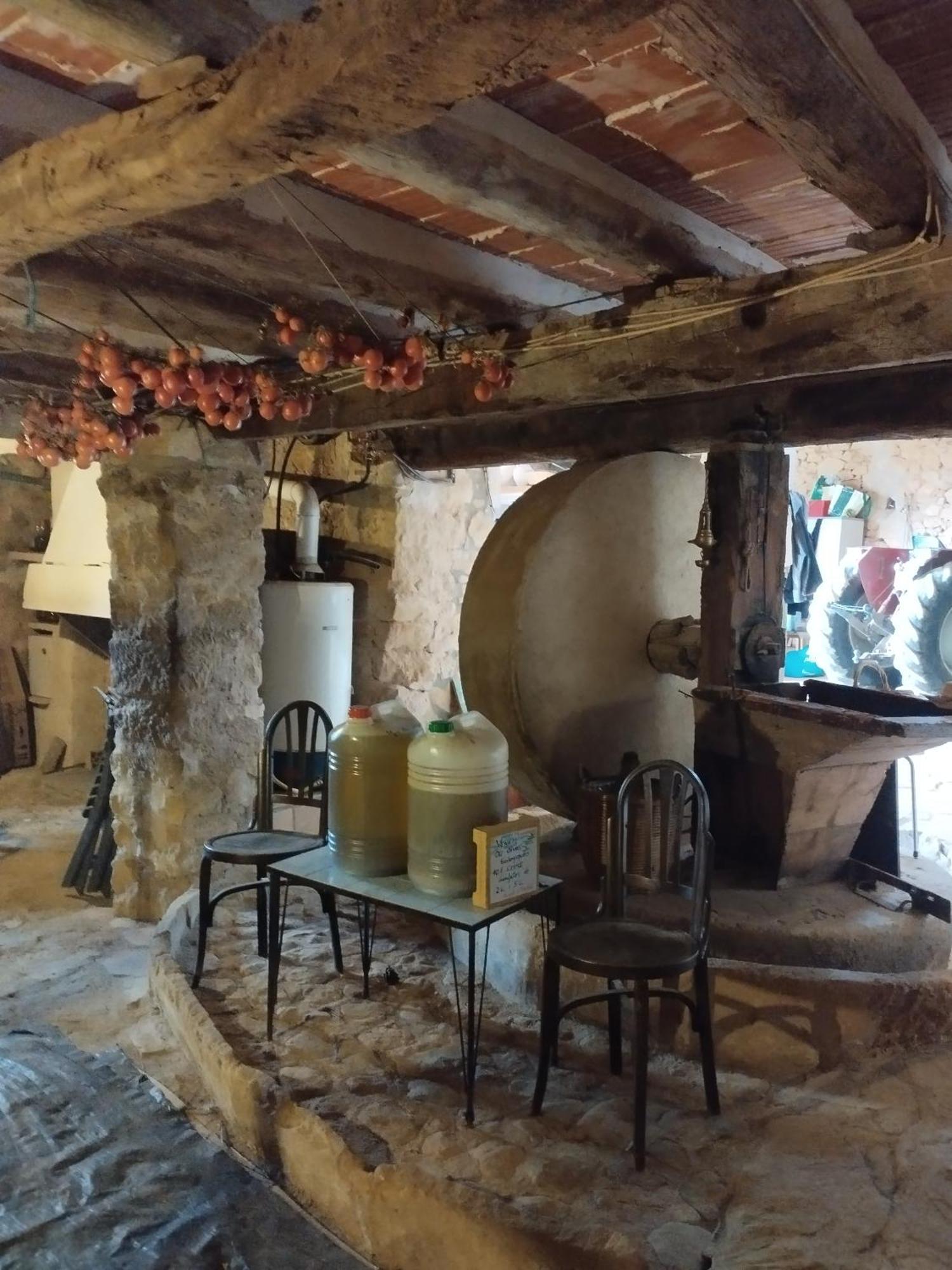 Апартаменти Mas De Manresa Орта-да-Сан-Джоан Екстер'єр фото