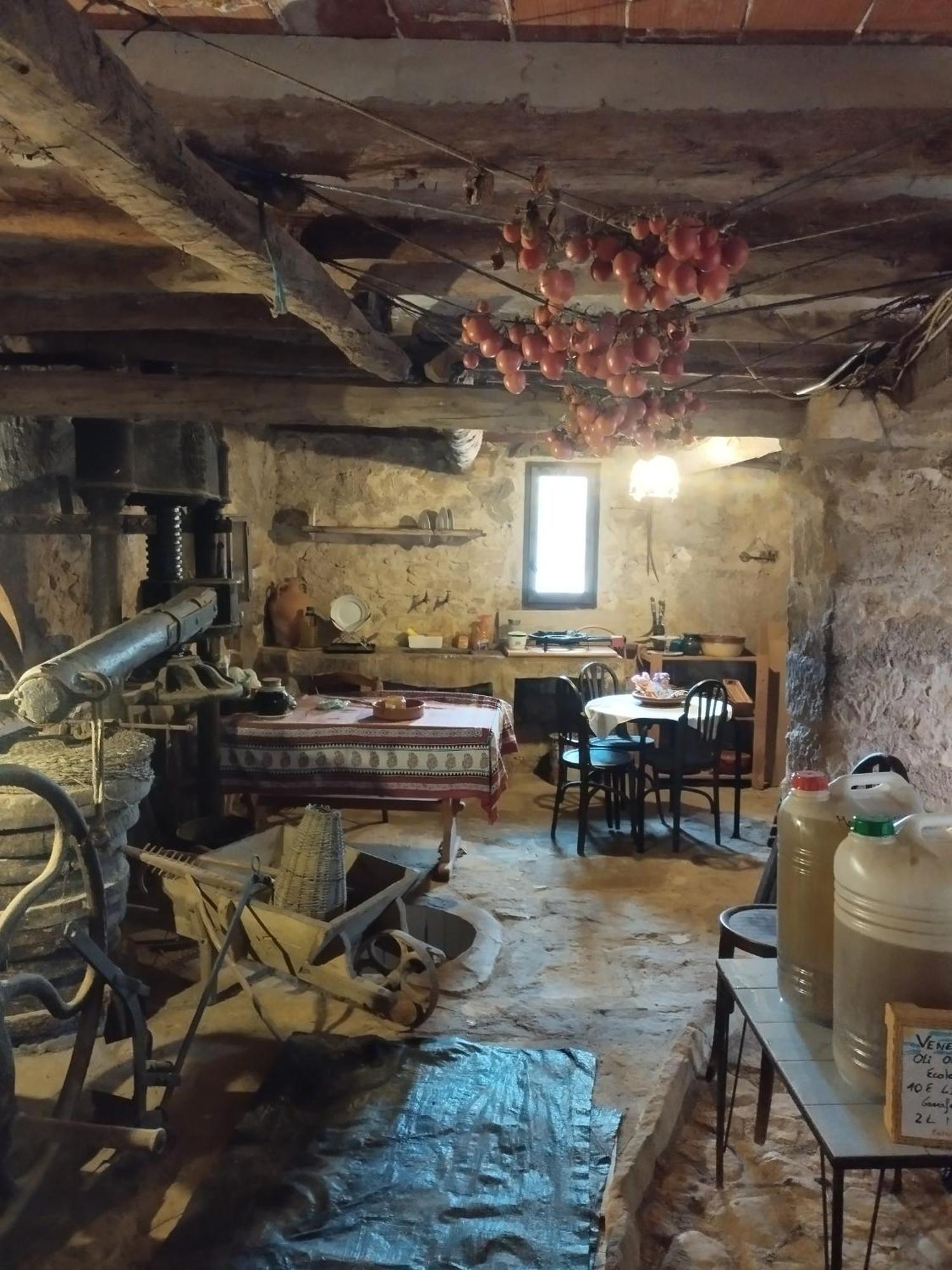 Апартаменти Mas De Manresa Орта-да-Сан-Джоан Екстер'єр фото
