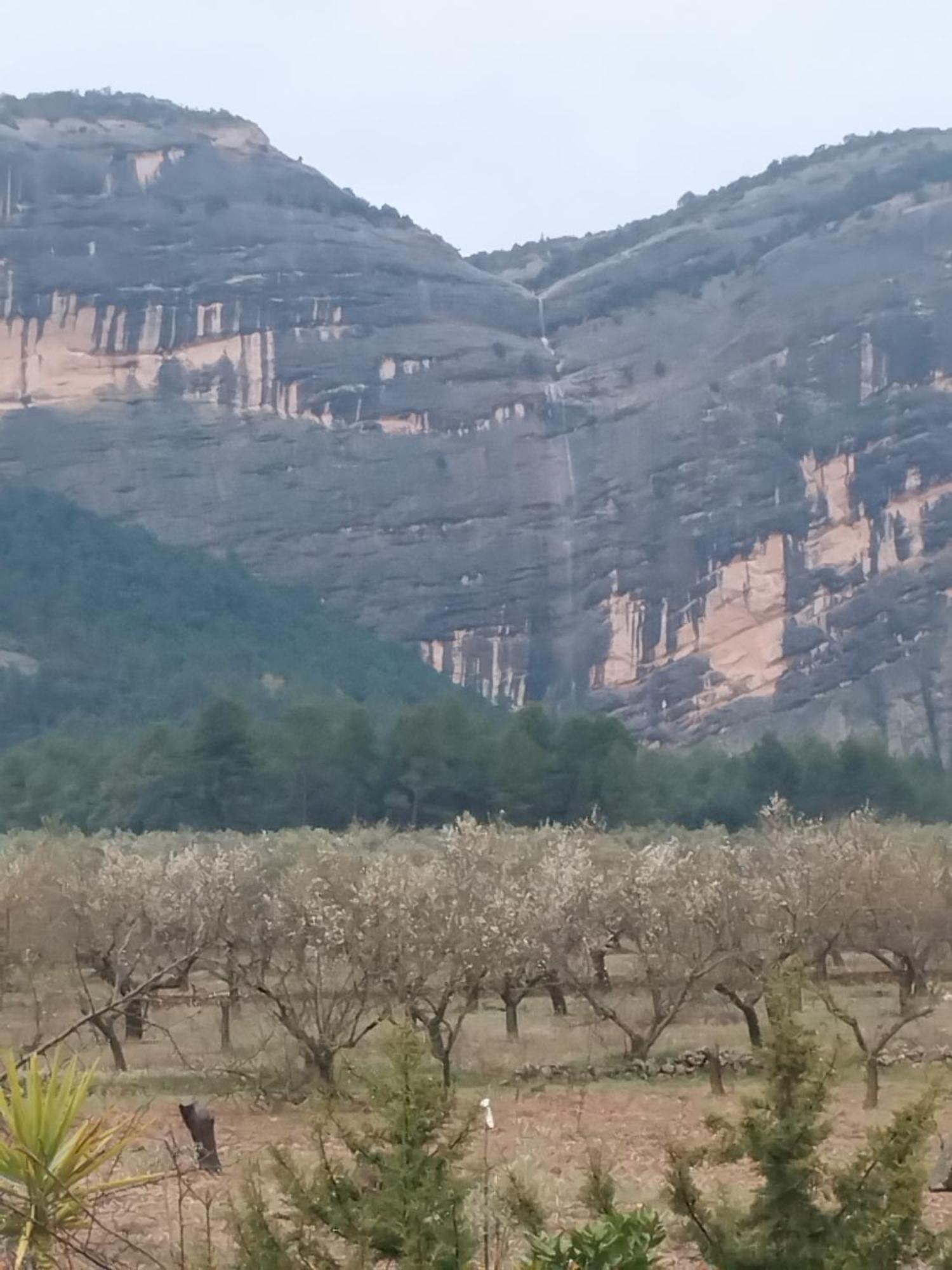 Апартаменти Mas De Manresa Орта-да-Сан-Джоан Екстер'єр фото